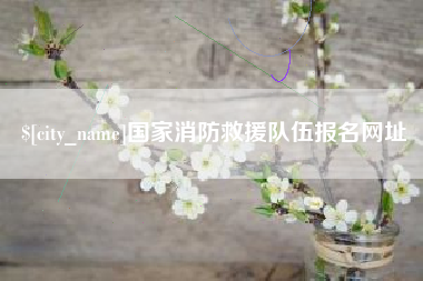 武安国家消防救援队伍报名网址