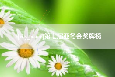 武安第七届亚冬会奖牌榜
