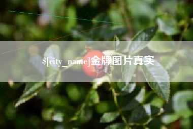 武安金牌图片真实