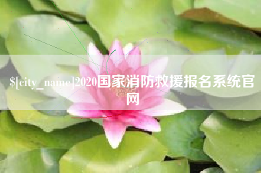 武安2020国家消防救援报名系统官网