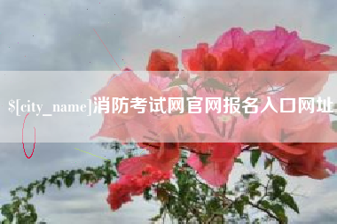 武安消防考试网官网报名入口网址