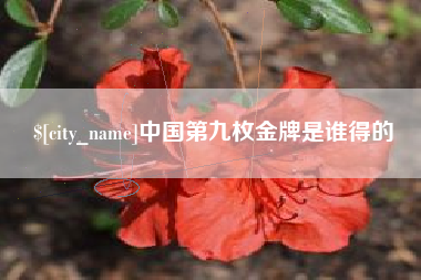 武安中国第九枚金牌是谁得的