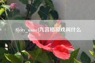 武安九宫格游戏叫什么