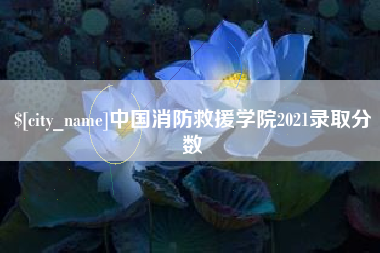 武安中国消防救援学院2021录取分数