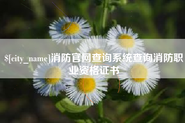 武安消防官网查询系统查询消防职业资格证书