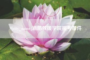 武安消防救援学院报考条件