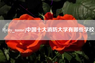武安中国十大消防大学有哪些学校