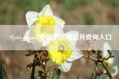 武安中国执行网公开查询入口