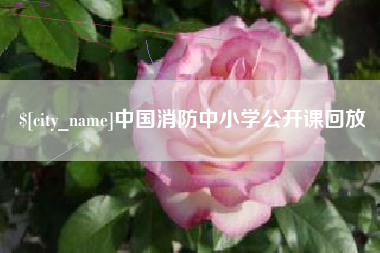武安中国消防中小学公开课回放