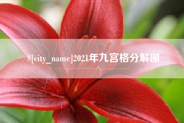 武安2021年九宫格分解图