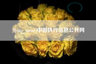 武安中国执行信息公开网