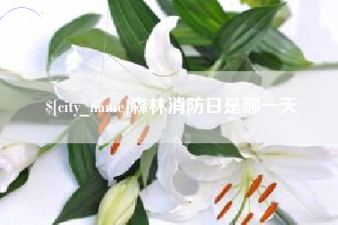 武安森林消防日是哪一天