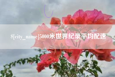 武安5000米世界纪录平均配速