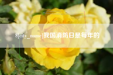 武安我国消防日是每年的
