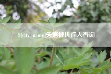 武安失信被执行人杳询