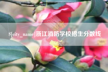 武安浙江消防学校招生分数线