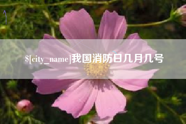 武安我国消防日几月几号