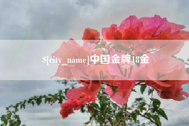 武安中国金牌18金
