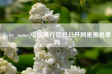 武安中国执行信息公开网是黑名单吗