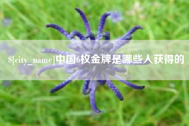 武安中国6枚金牌是哪些人获得的