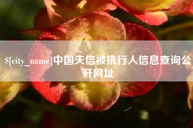 武安中国失信被执行人信息查询公开网址