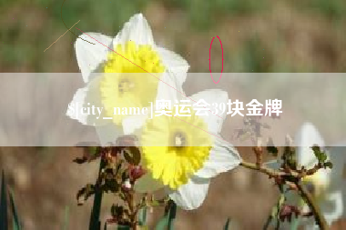 武安奥运会39块金牌