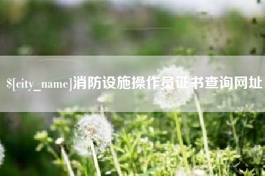 武安消防设施操作员证书查询网址