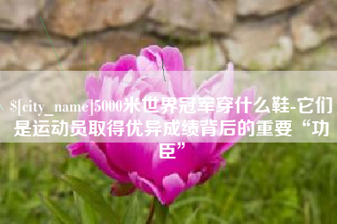 武安5000米世界冠军穿什么鞋-它们是运动员取得优异成绩背后的重要“功臣”