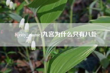 武安九宫为什么只有八卦