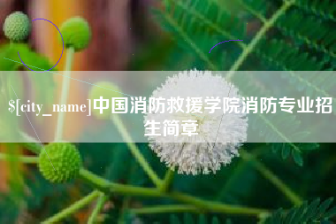 武安中国消防救援学院消防专业招生简章