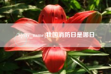 武安我国消防日是哪日