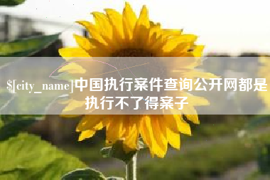 武安中国执行案件查询公开网都是执行不了得案子