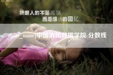 武安中国消防救援学院 分数线