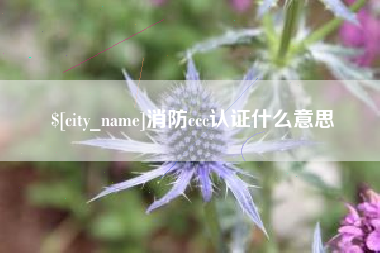 武安消防ccc认证什么意思