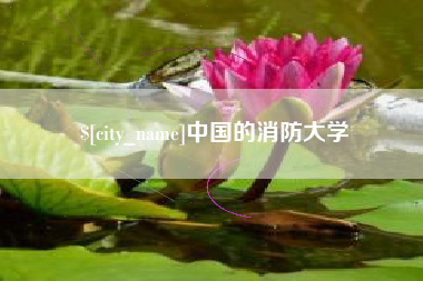 武安中国的消防大学