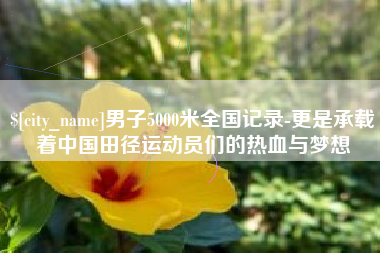 武安男子5000米全国记录-更是承载着中国田径运动员们的热血与梦想