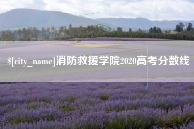 武安消防救援学院2020高考分数线