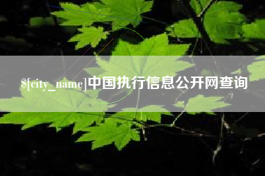 武安中国执行信息公开网查询