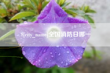 武安全国消防日哪一