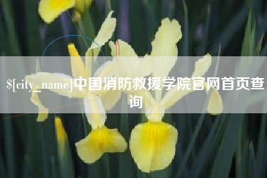 武安中国消防救援学院官网首页查询