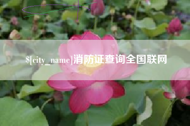 武安消防证查询全国联网