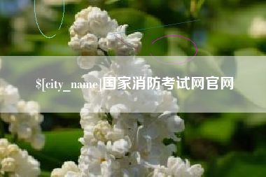 武安国家消防考试网官网