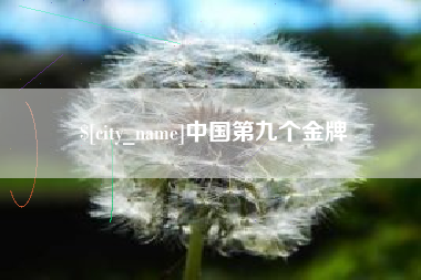 武安中国第九个金牌