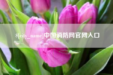 武安中国消防网官网入口