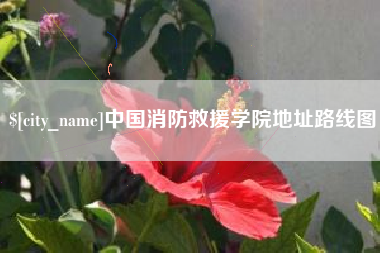 武安中国消防救援学院地址路线图