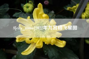 武安2022年九宫格飞星图