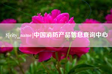 武安中国消防产品信息查询中心