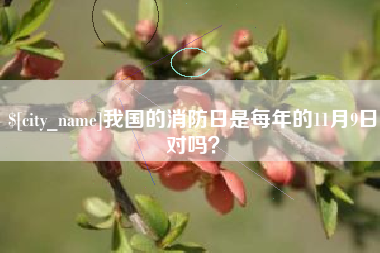 武安我国的消防日是每年的11月9日对吗？