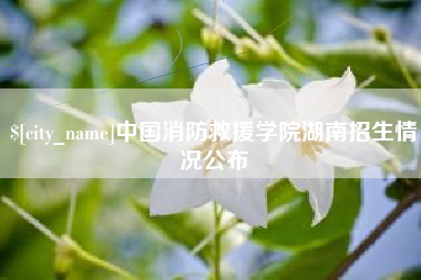 武安中国消防救援学院湖南招生情况公布