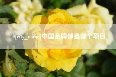 武安中国金牌都是哪个项目